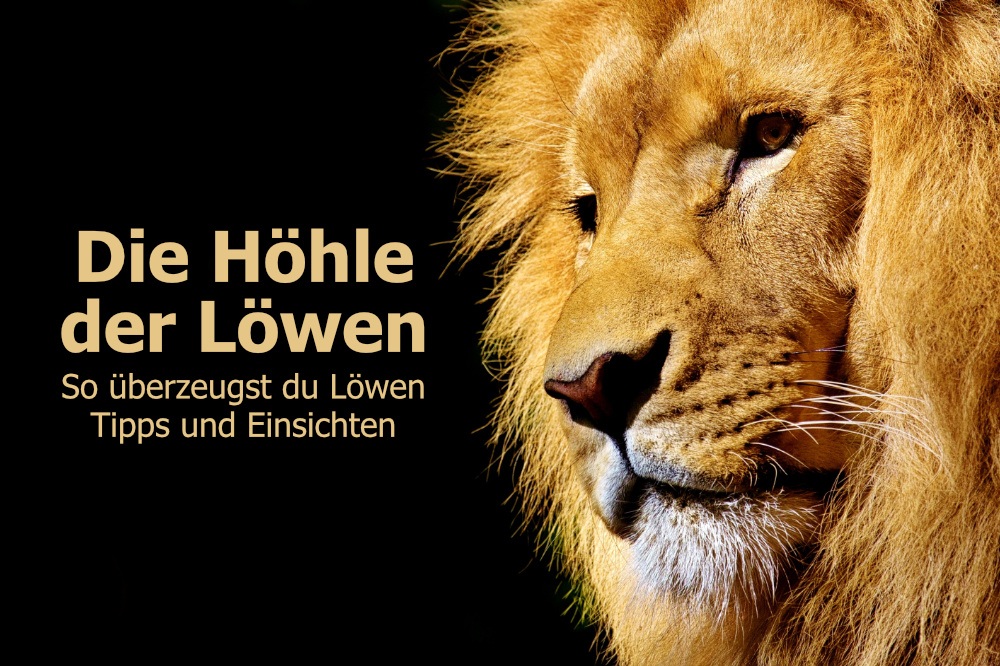 Die Höhle der Löwen, So überzeugst du Löwen, Tipps und Einsichten