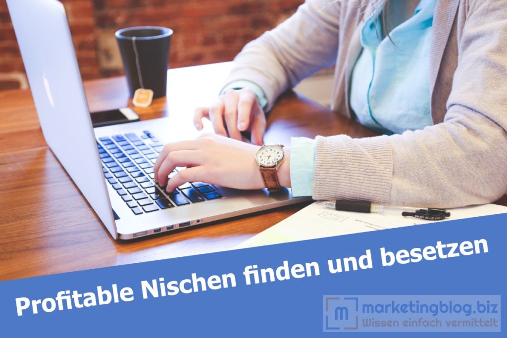 profitable Nischen finden und besetzen